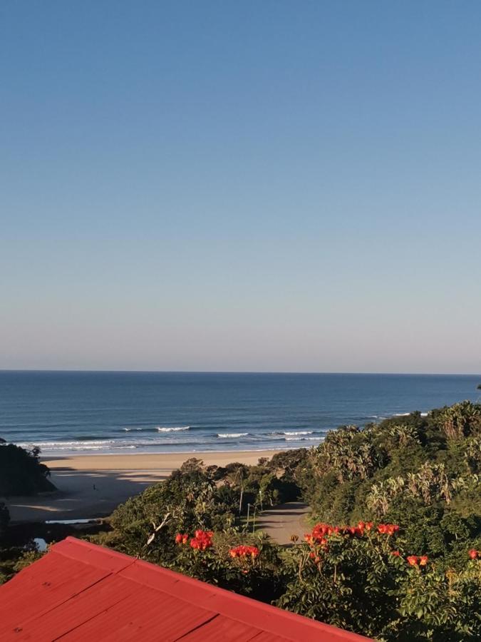 Amapondo Backpackers Lodge Port Saint Johnʼs Esterno foto