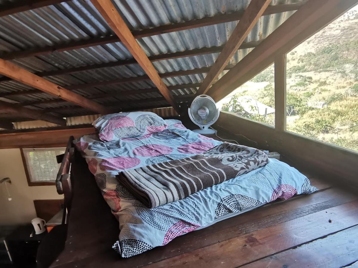 Amapondo Backpackers Lodge Port Saint Johnʼs Esterno foto