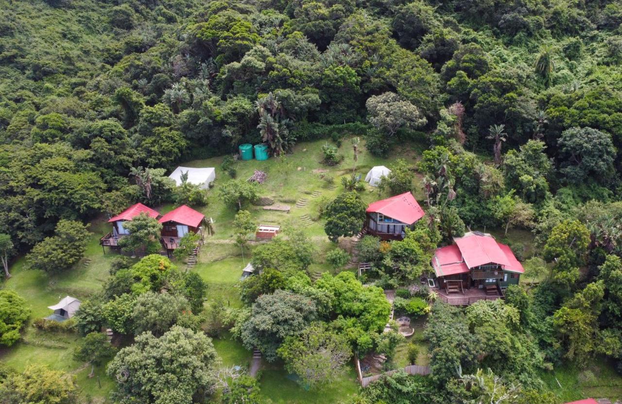 Amapondo Backpackers Lodge Port Saint Johnʼs Esterno foto